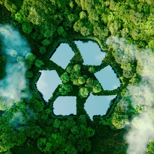 A recycling symbol formed in a forest canopy, representing sustainable upcycling.